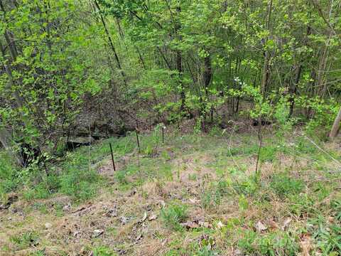 Cian Drive, Union Mills, NC 28167