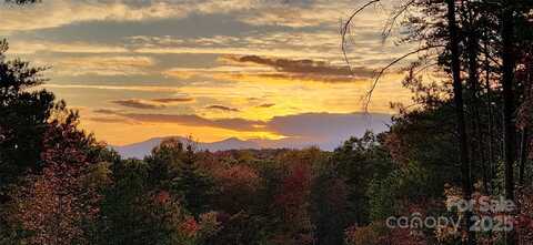 1600 Pisgah Preserve Drive, Nebo, NC 28761