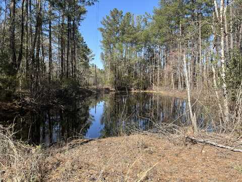 25351 Augusta Highway, Cottageville, SC 29435