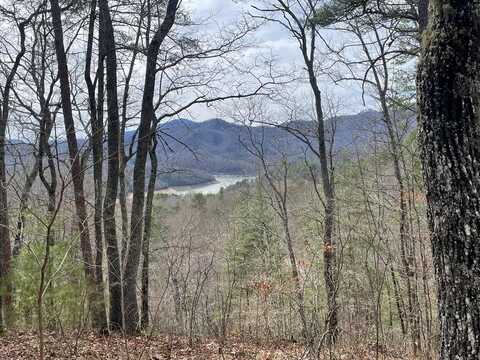 Lot 98-2 Wild Orchid Trail, Bryson City, NC 28713