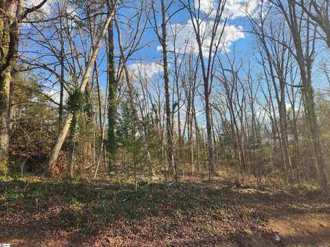 109 Buena Vista Drive, Easley, SC 29640