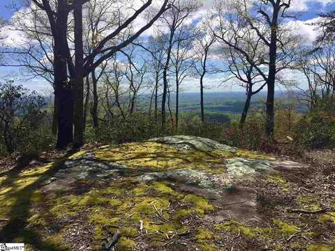 401 Stony Road, Landrum, SC 29356