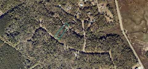 Lot 68 Tar Flower Trail, Waverly, GA 31565