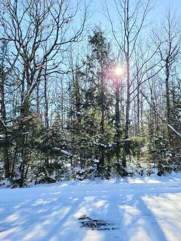On LAKE DR, Mellen, WI 54546