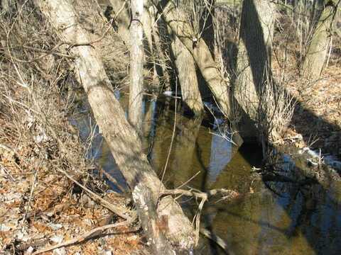 13778 Shannon Drive, Cement City, MI 49233