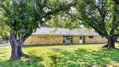 106 Susie St, Chandler, TX 75758