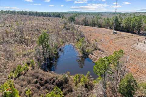 TBD FM 2208, Jefferson, TX 75657