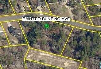 0 Painted Bunting Avenue, Weeki Wachee, FL 34614