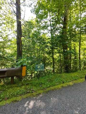 78,79 Royal Wulff Drive, Cullowhee, NC 28723