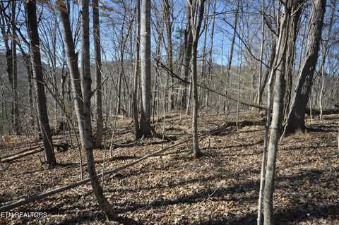 00 Old Tazewell Pike, Luttrell, TN 37779