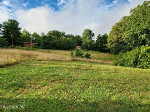 Tbd Luther Villa Rd, Sneedville, TN 37869