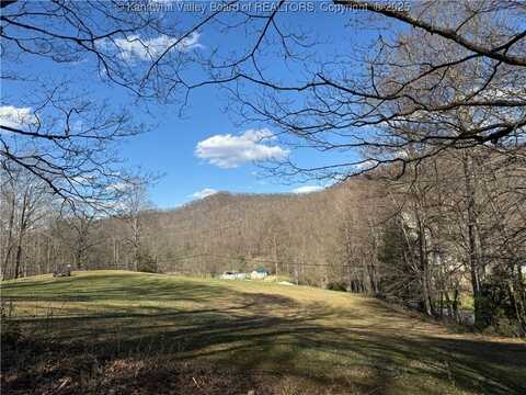 Raven Point Road, Danville, WV 25130