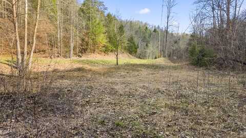Tbd Southfork Road, Stanton, KY 40380