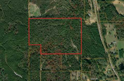 TBD Chicora Greene County Rd, Buckatunna, MS 39322