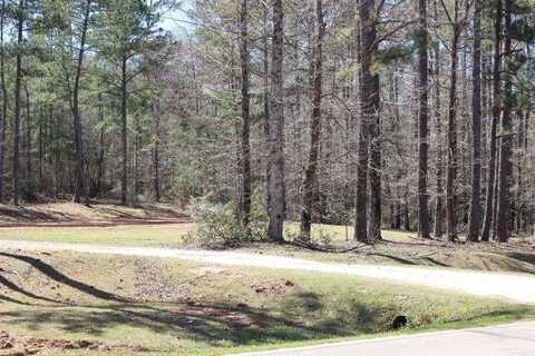 3900 OAK BOWERY ROAD, OPELIKA, AL 36801