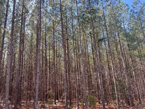 20.58 Ac Williamson Road, Alton, VA 24520