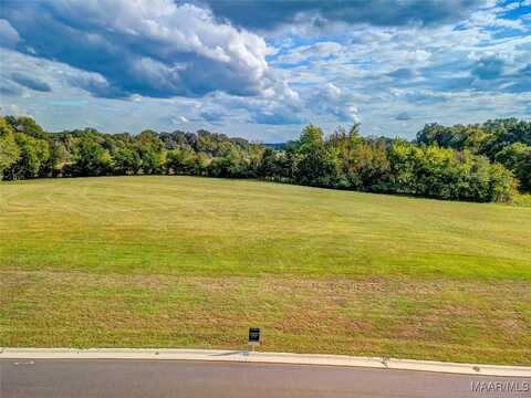 Hidden Oaks Avenue lot: 5, Pike Road, AL 36064
