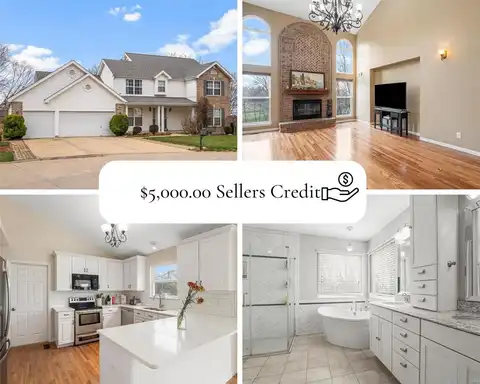 2923 14th Fairway Dr, Belleville, IL 62220