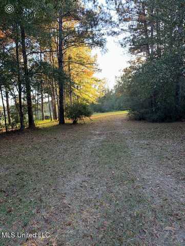 0 St Angelo Lane, Poplarville, MS 39470