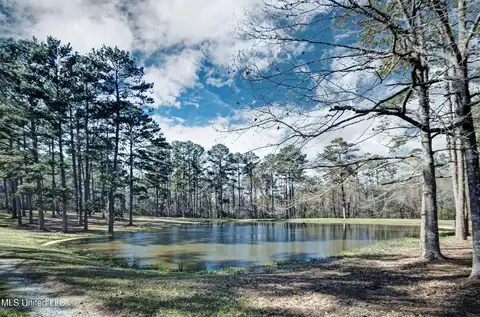 188 Webb Lane, Flowood, MS 39232