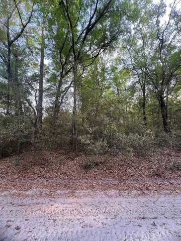 Tbd SW 150 STREET, DUNNELLON, FL 34432