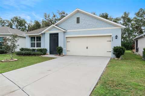 3627 CRIMSON CLOVER DRIVE, MOUNT DORA, FL 32757