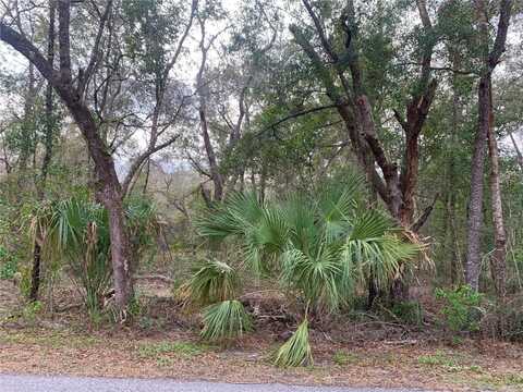 0 SW HALF MOON DRIVE, DUNNELLON, FL 34431