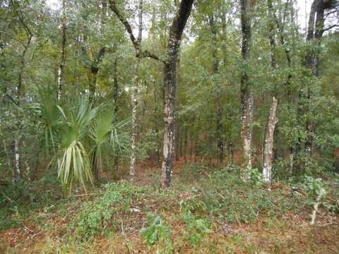 Lot 6 SW 97TH PLACE, DUNNELLON, FL 34431