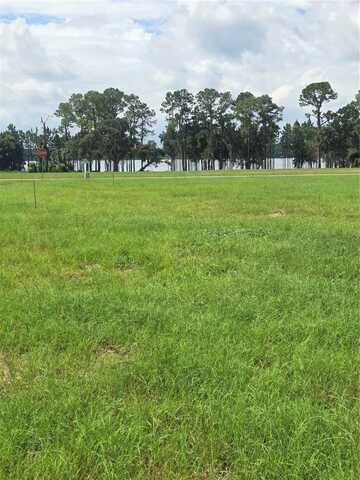 38401 WOODED MEADOW DRIVE, UMATILLA, FL 32784
