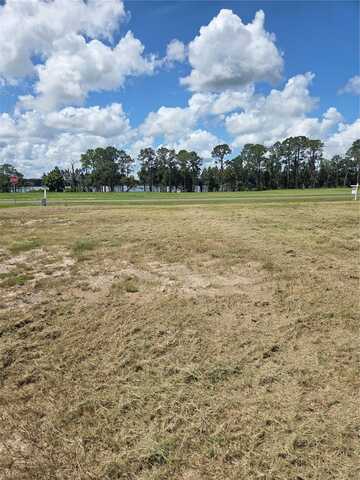 38401 WOODED MEADOW DRIVE, UMATILLA, FL 32784
