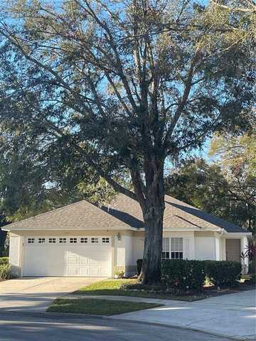 7023 ARCADIAN COURT, MOUNT DORA, FL 32757