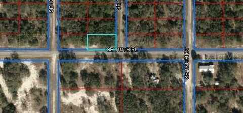 SE 110TH PL, DUNNELLON, FL 34431