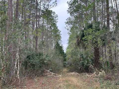 N0 STREET, DELAND FL 32724, DELAND, FL 32724