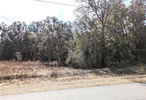 SW BEACH BOULEVARD, DUNNELLON, FL 34431