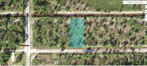 518 TROPICANA DRIVE, INDIAN LAKE ESTATES, FL 33855