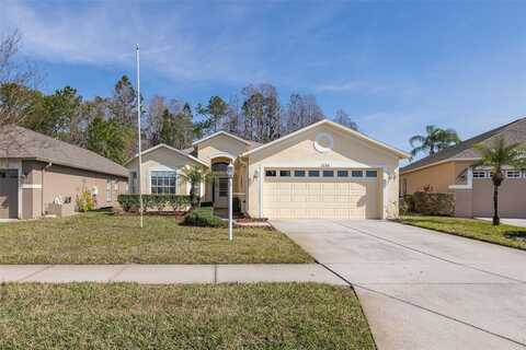 1153 DUSTAN PLACE, TRINITY, FL 34655