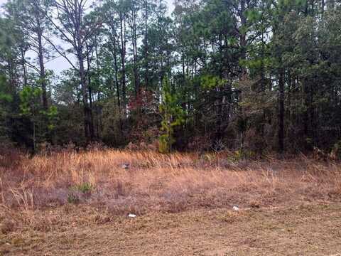 7372 N MALTESE DRIVE, CITRUS SPRINGS, FL 34433