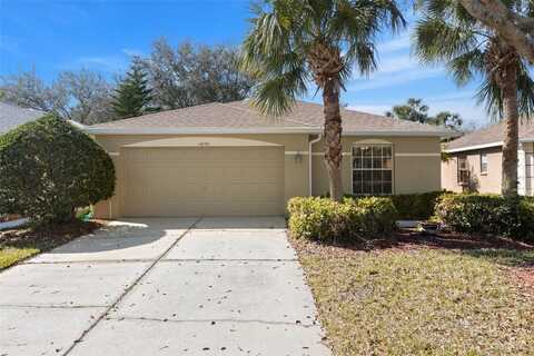 10833 COLLAR DRIVE, SAN ANTONIO, FL 33576