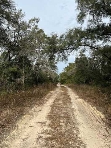 Tbd Lot 2 NE 155TH COURT, WILLISTON, FL 32696