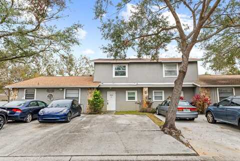 10061 LAKE OAK CIRCLE, TAMPA, FL 33624