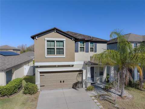 10251 CARLOWAY HILLS DRIVE, WIMAUMA, FL 33598