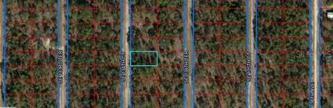 SE 134TH CT, DUNNELLON, FL 34431