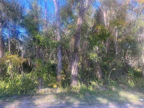 14TH ST, ORANGE CITY, FL 32763