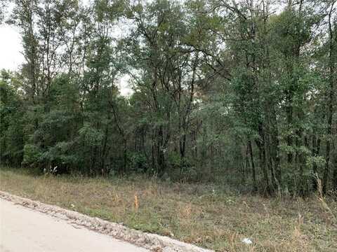 Tbd NE 160TH AVENUE, WILLISTON, FL 32696