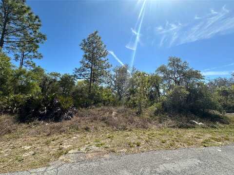 419 MAITLAND COURT, KISSIMMEE, FL 34759