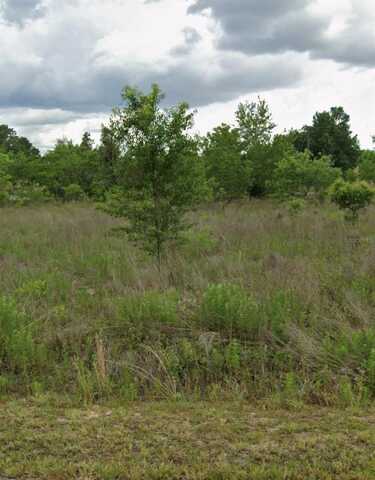 Tbd NW 5TH STREET, OCALA, FL 34482