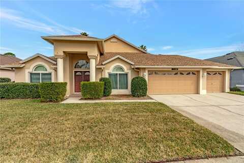 10025 CYPRESS SHADOW AVENUE, TAMPA, FL 33647