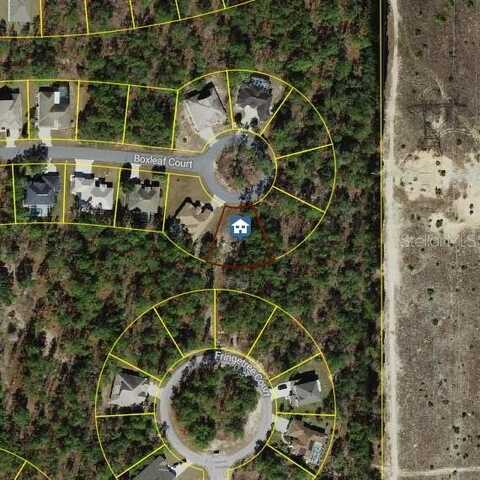 37 BOXLEAF COURT, HOMOSASSA, FL 34446