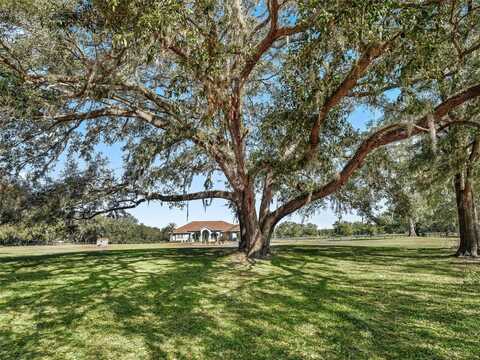19351 E LEVY STREET, WILLISTON, FL 32696