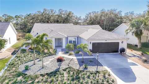 3923 MANOR OAKS COURT, LEESBURG, FL 34748